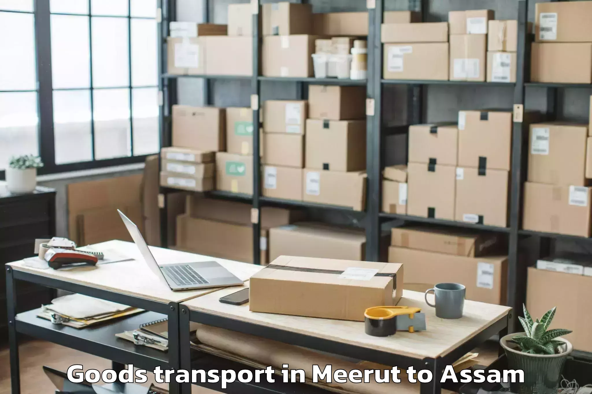 Leading Meerut to Abhilashi University Sivasagar Goods Transport Provider